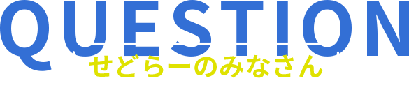 せどらーのみなさん